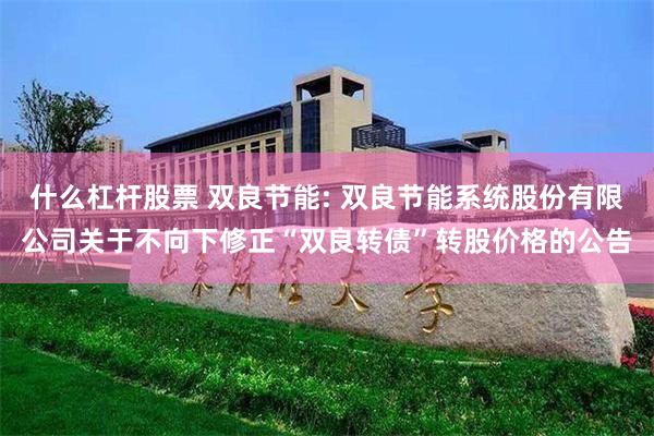 什么杠杆股票 双良节能: 双良节能系统股份有限公司关于不向下修正“双良转债”转股价格的公告