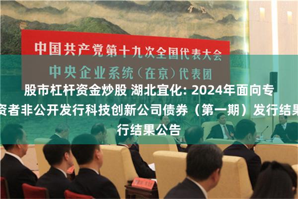 股市杠杆资金炒股 湖北宜化: 2024年面向专业投资者非公开发行科技创新公司债券（第一期）发行结果公告