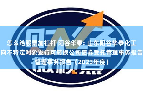 怎么给股票加杠杆 阳谷华泰: 山东阳谷华泰化工股份有限公司向不特定对象发行可转换公司债券受托管理事务报告（2023年度）