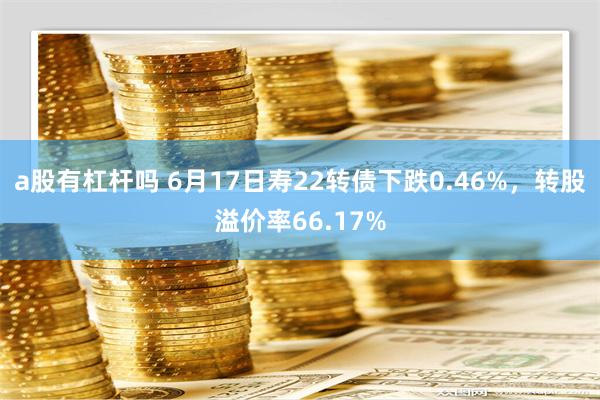 a股有杠杆吗 6月17日寿22转债下跌0.46%，转股溢价率66.17%