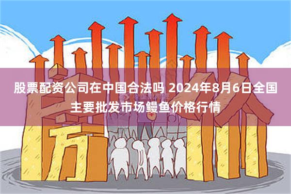 股票配资公司在中国合法吗 2024年8月6日全国主要批发市场鳗鱼价格行情