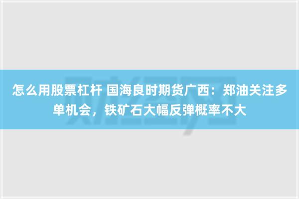 怎么用股票杠杆 国海良时期货广西：郑油关注多单机会，铁矿石大幅反弹概率不大