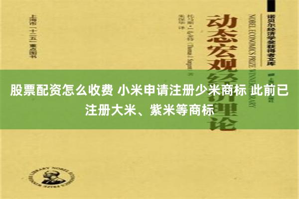 股票配资怎么收费 小米申请注册少米商标 此前已注册大米、紫米等商标