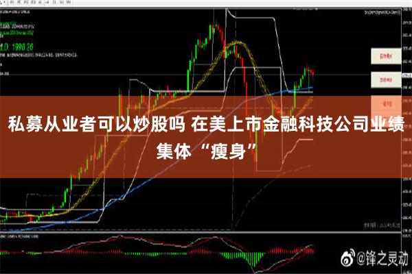 私募从业者可以炒股吗 在美上市金融科技公司业绩集体 “瘦身”